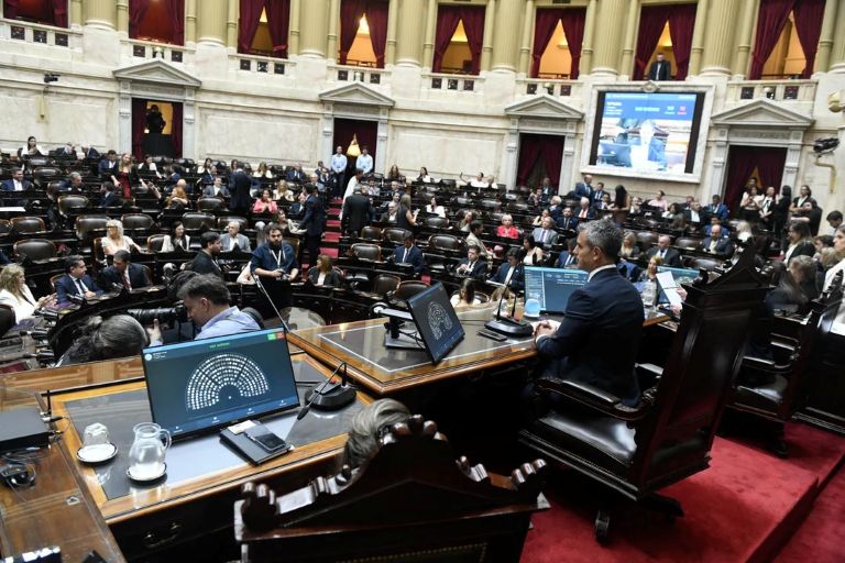 La Cámara de Diputados de la Nación aprobó la ley para bajar la imputabilidad de los menores de 16 a 14 años