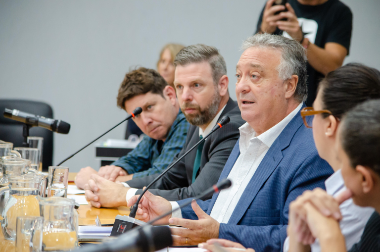 Los diputados provinciales comenzaron a tratar la solución transitoria propuesta por el Ejecutivo para la continuidad de Medanito